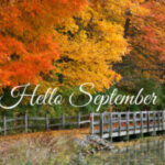 Group logo of September 2025