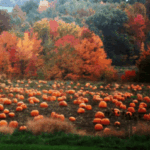 Group logo of October 2025